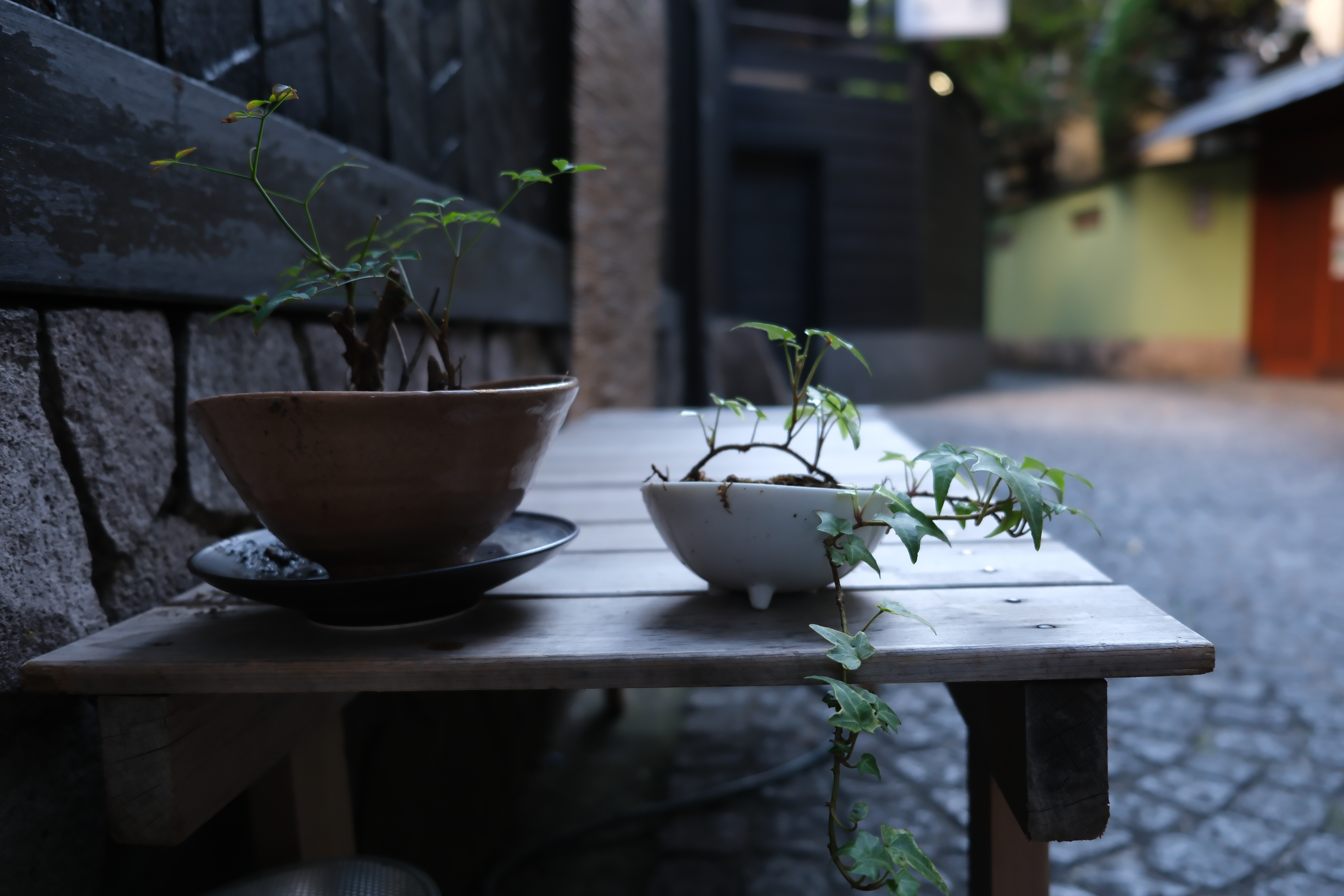 X-T5　XF18-55mmF2.8-4 R LM OIS（F2.8・1/105秒・18mm）ISO 400