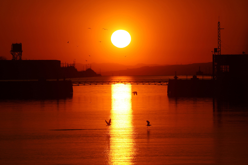 撮影：ふるいけ博文氏