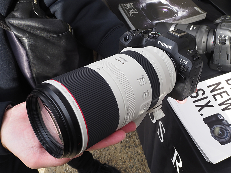 EOS R6 Mark IIとRF100-500mm F4.5-7.1 L IS USM