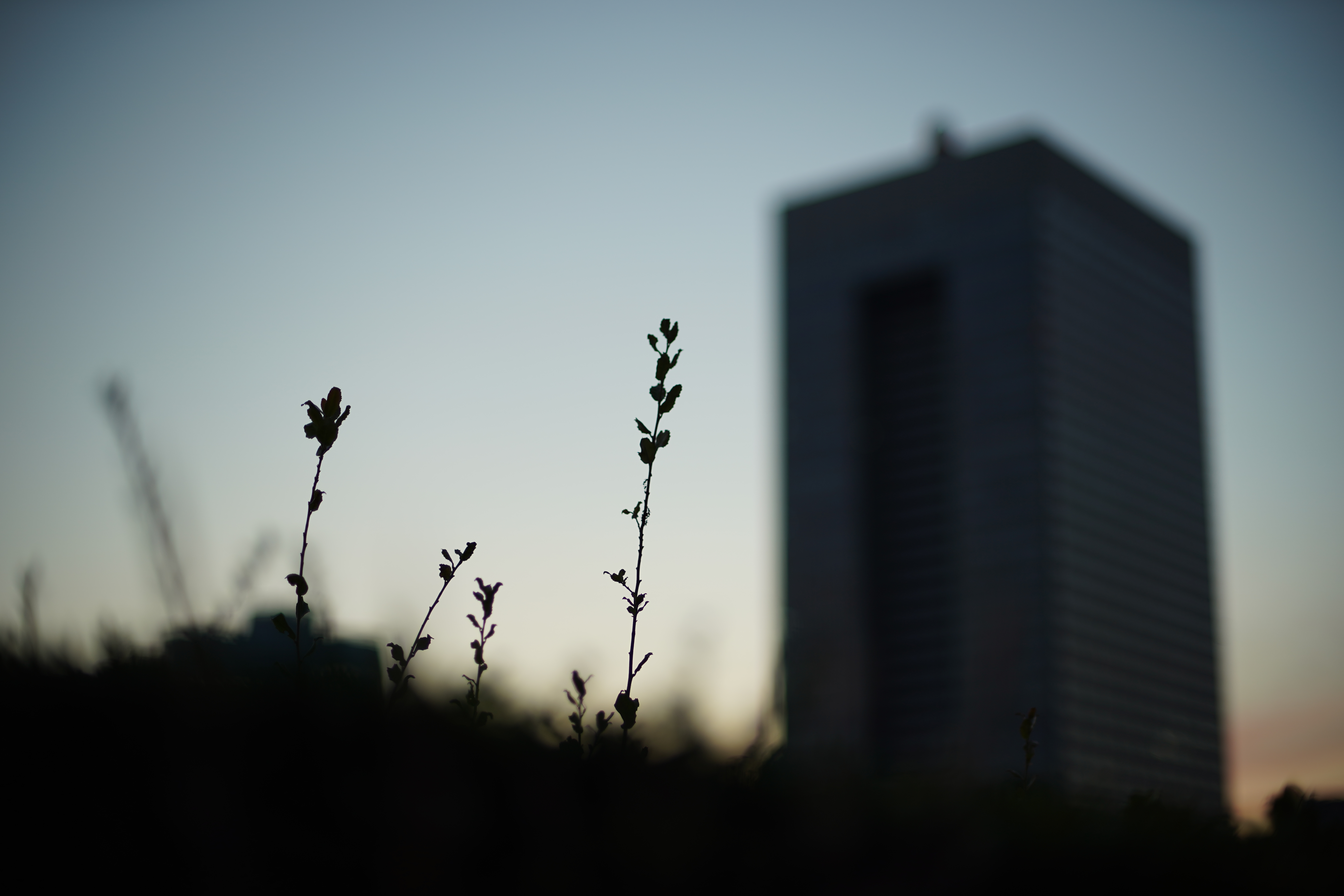 α7 III / マニュアル（F1.4・1/640秒）/ ISO 100