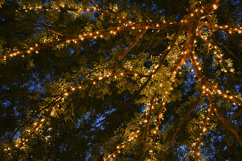 フィルターなし