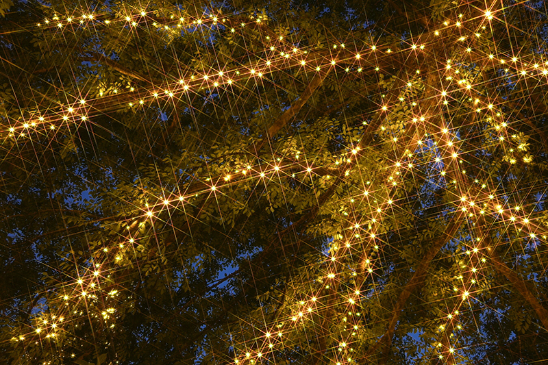 従来の8本線クロスフィルター（R-サニークロス）使用