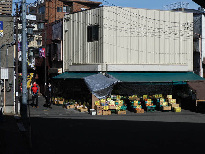 明暗差がそれなりにありますが、問題ない高画質です。絞り込むとコントラストがさらに向上します。被写体までの距離をとるとすぐにパンフォーカス描写になります。<br>OM-1　PROMINAR 25mm F1.8（F8・1/1,250秒）ISO 200