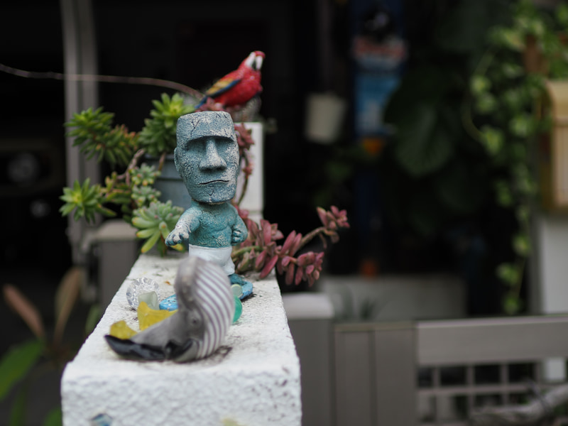 絞り開放で最短撮影距離から少し離れたくらいです。調子は少し軟かくなるようです。ボケ味が素晴らしく良いですね。マイクロフォーサーズフォーマットの写真じゃないみたいに見えます。<br>OM-1　PROMINAR 25mm F1.8（F1.8・1/1,600秒）ISO 200