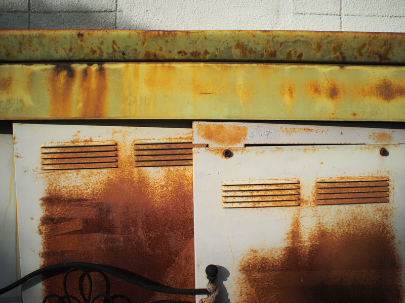 ボディキャップレンズはきちんとフォーカシングすると、至近距離でも見られる画質になります。周辺は少し弱いですが、それが好きな人もいますよね。<br>OM-5　ボディーキャップレンズBCL-1580（F8・1/1,600秒）ISO 400