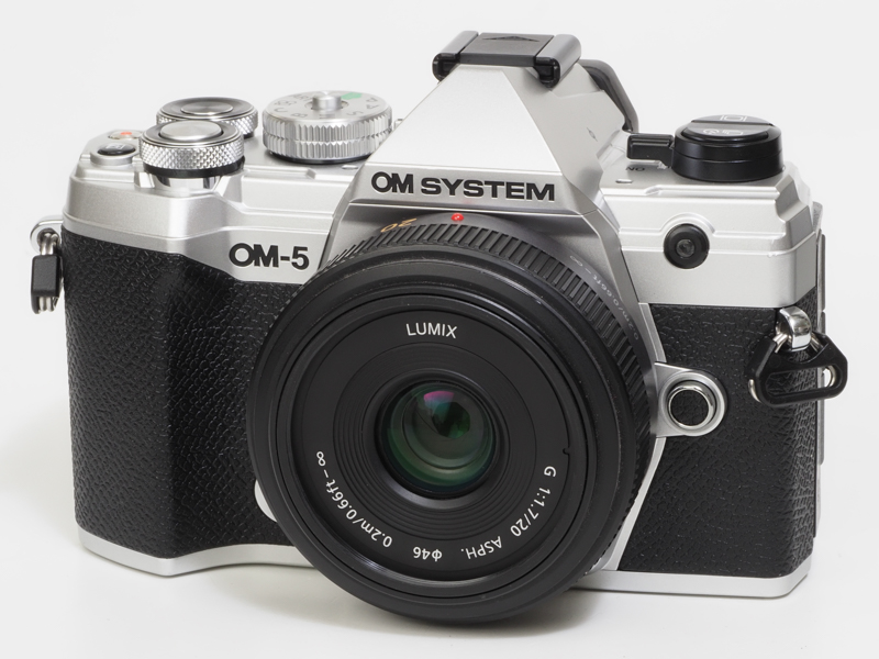 準標準レンズとして最高なレンズで、筆者はI型とII型を所有しています。大きな違いは外像に金属を使っているか否かだと思います。このI型の方がデザイン的にもいいと思うのですが、どうでしょうか。