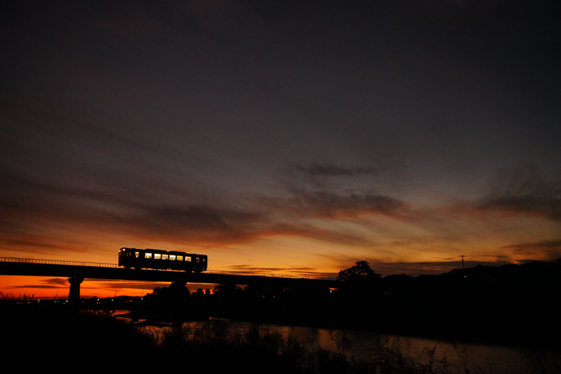 ソニーα7R IV　FE24-70mm F2.8 GM （29mm） 絞り優先オート （F2.8、1/160秒）ISO 3200 WB:日陰