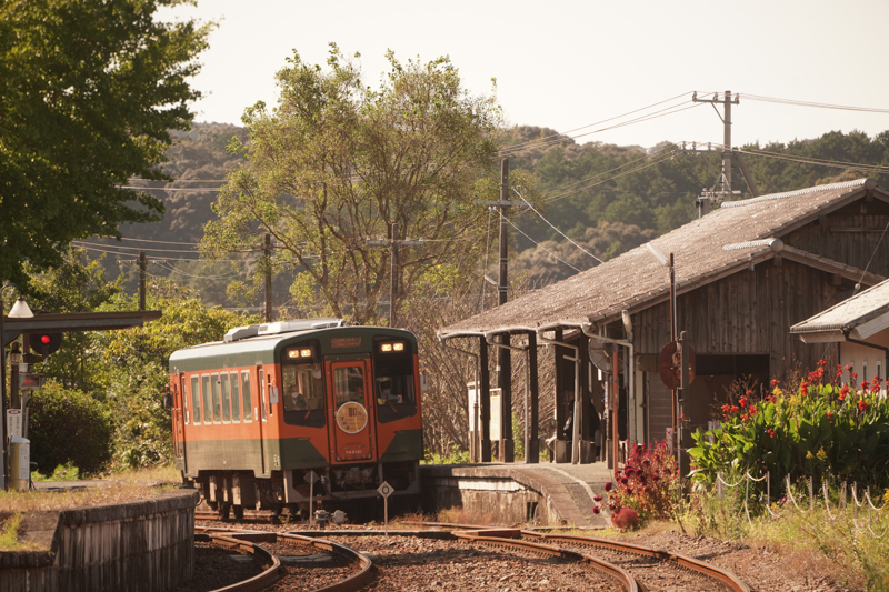 ソニーα7R IV　FE100-400mm F4.5-5.6 GM OSS （339mm） 絞り優先オート （F6.3、1/800秒）ISO 400 WB:日陰