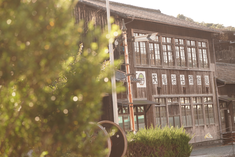 ソニーα7R IV　FE100-400mm F4.5-5.6 GM OSS （105mm） 絞り優先オート （F6.3、1/320秒）ISO 400 WB:日陰