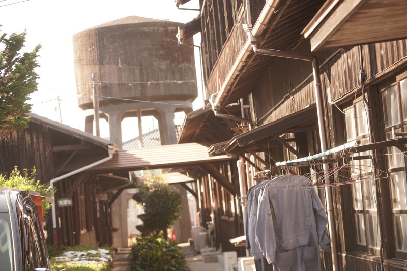 ソニーα7R IV　FE100-400mm F4.5-5.6 GM OSS （100mm） 絞り優先オート （F6.3、1/200秒）ISO 400 WB:日陰