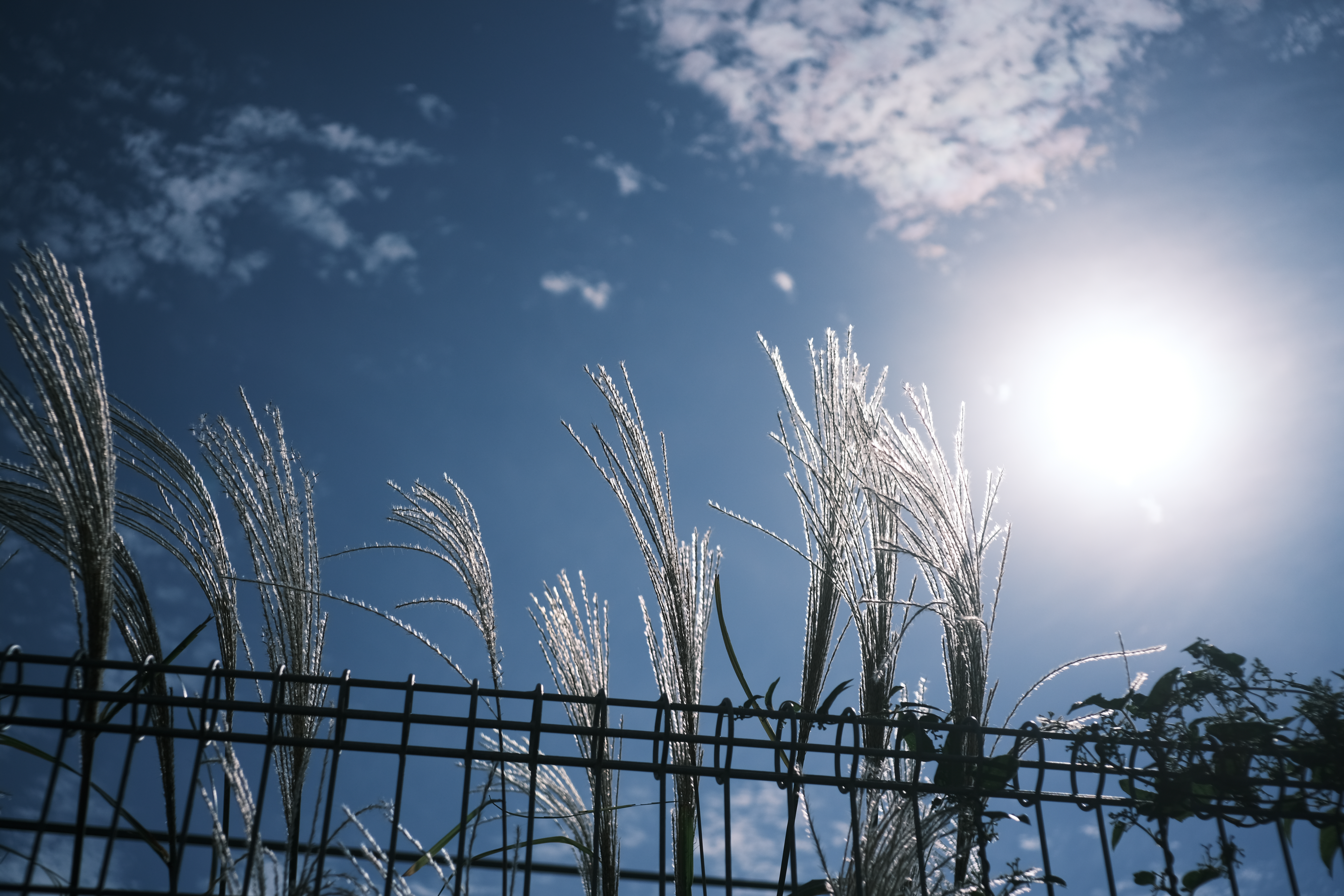 X-E4　ミノルタG-ROKKOR 28mm F3.5（F3.5・1/8000秒）ISO160