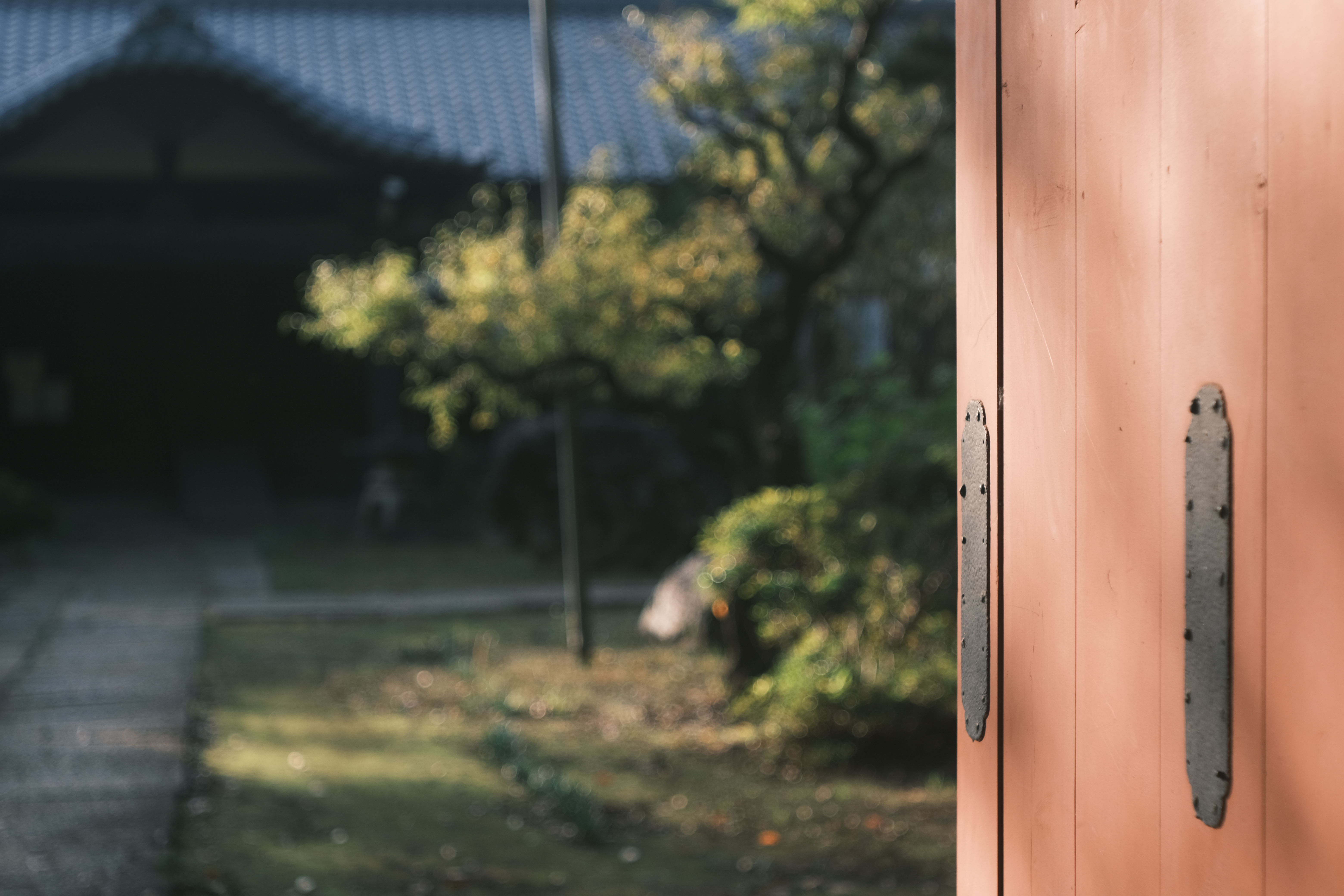 X-E4　ライカ エルマー f3.5/50mm（F3.5・1/350秒）ISO 160