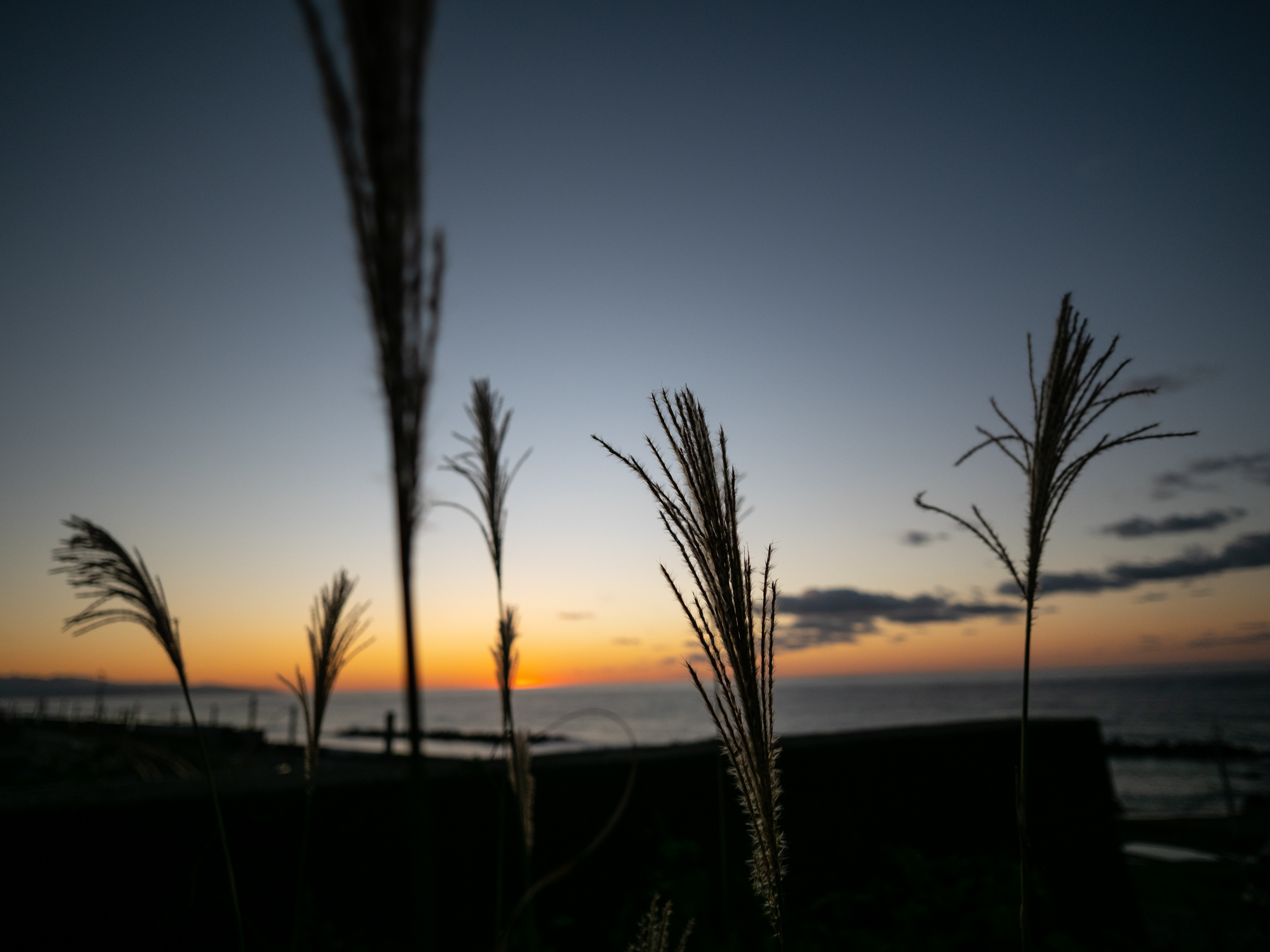 超広角でもF1.7の大口径だと1カ所だけにフォーカスして他をボカすことも簡単にできる。<br>LUMIX G100 LEICA DG SUMMILUX 9mm / F1.7 ASPH. 絞り優先AE（F1.7・1/1,600秒・±0EV）ISO 200