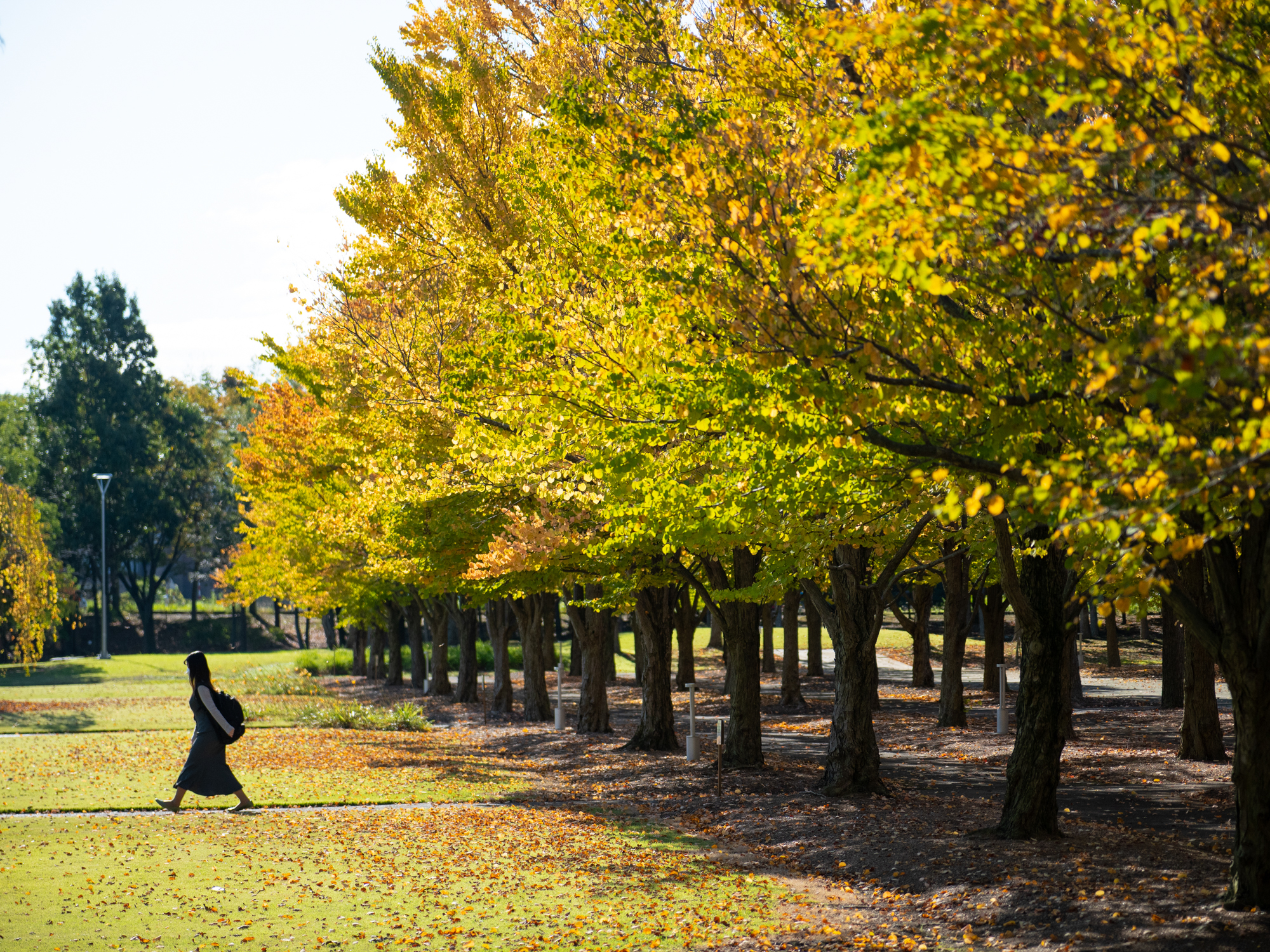 LUMIX G100 LEICA DG VARIO-SUMMILUX 25-50mm / F1.7 ASPH.（50mm） 絞り優先AE（F1.8・1/5,000秒・±0EV）ISO 200