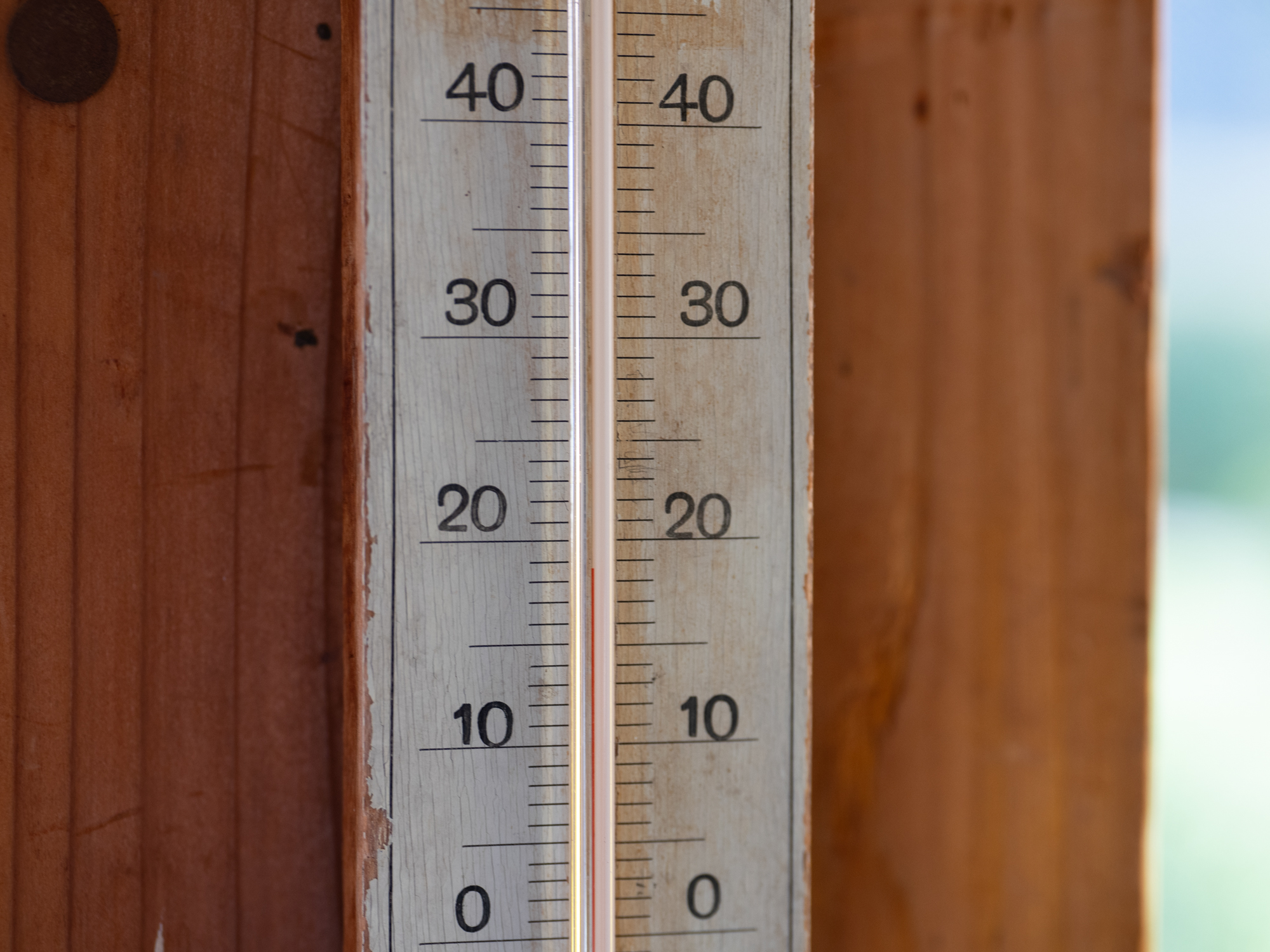 LUMIX G100 LEICA DG SUMMILUX 9mm / F1.7 ASPH.（50mm）絞り優先AE（F2.5・1/125秒・±0EV）ISO 200