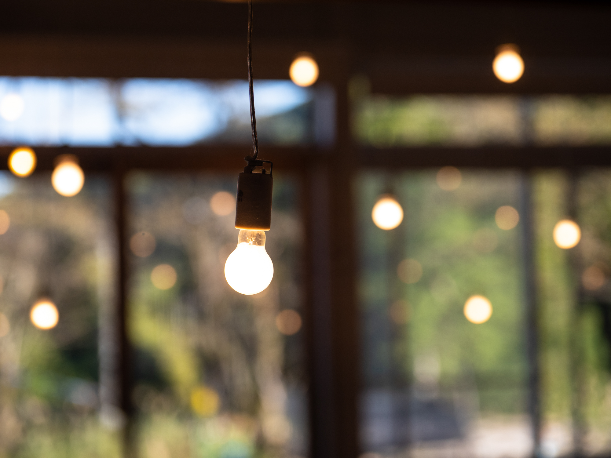 LUMIX G100 LEICA DG VARIO-SUMMILUX 25-50mm / F1.7 ASPH.（41mm） 絞り優先AE（F2・1/1250秒・±0EV）ISO 200