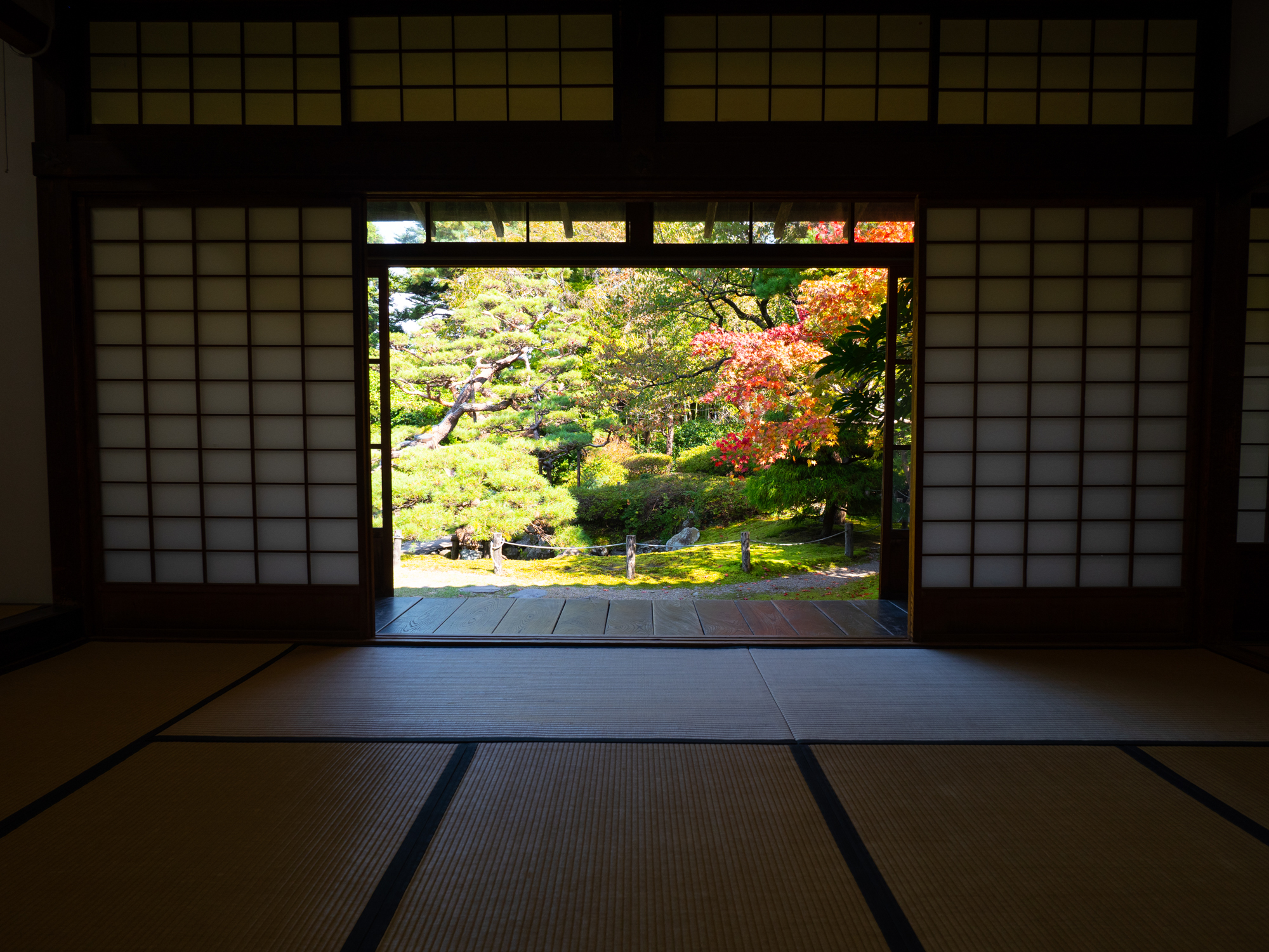 LUMIX G100 LEICA DG SUMMILUX 9mm / F1.7 ASPH. 絞り優先AE（F5.6・1/160秒・±0EV）ISO 200