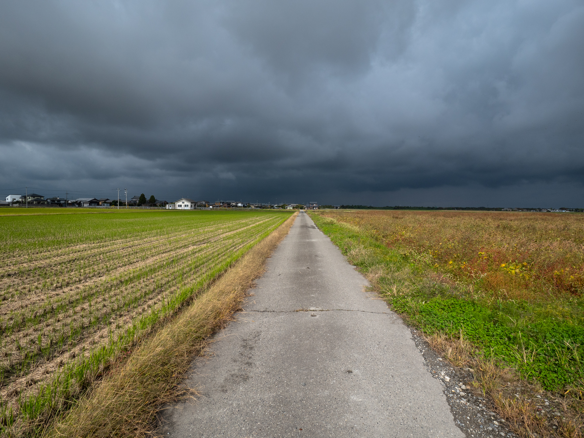 LUMIX G100 LEICA DG SUMMILUX 9mm / F1.7 ASPH. 絞り優先AE（F8・1/640秒・±0EV）ISO 200