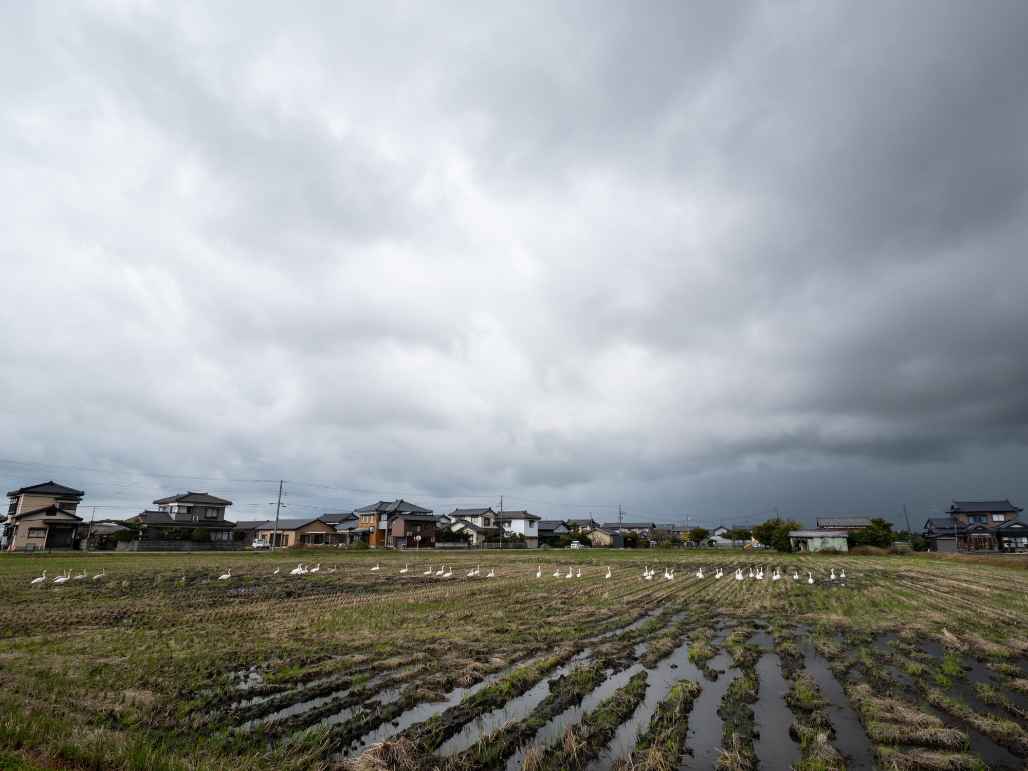 LUMIX G100 LEICA DG SUMMILUX 9mm / F1.7 ASPH. 絞り優先AE（F8・1/200秒・±0EV）ISO 200