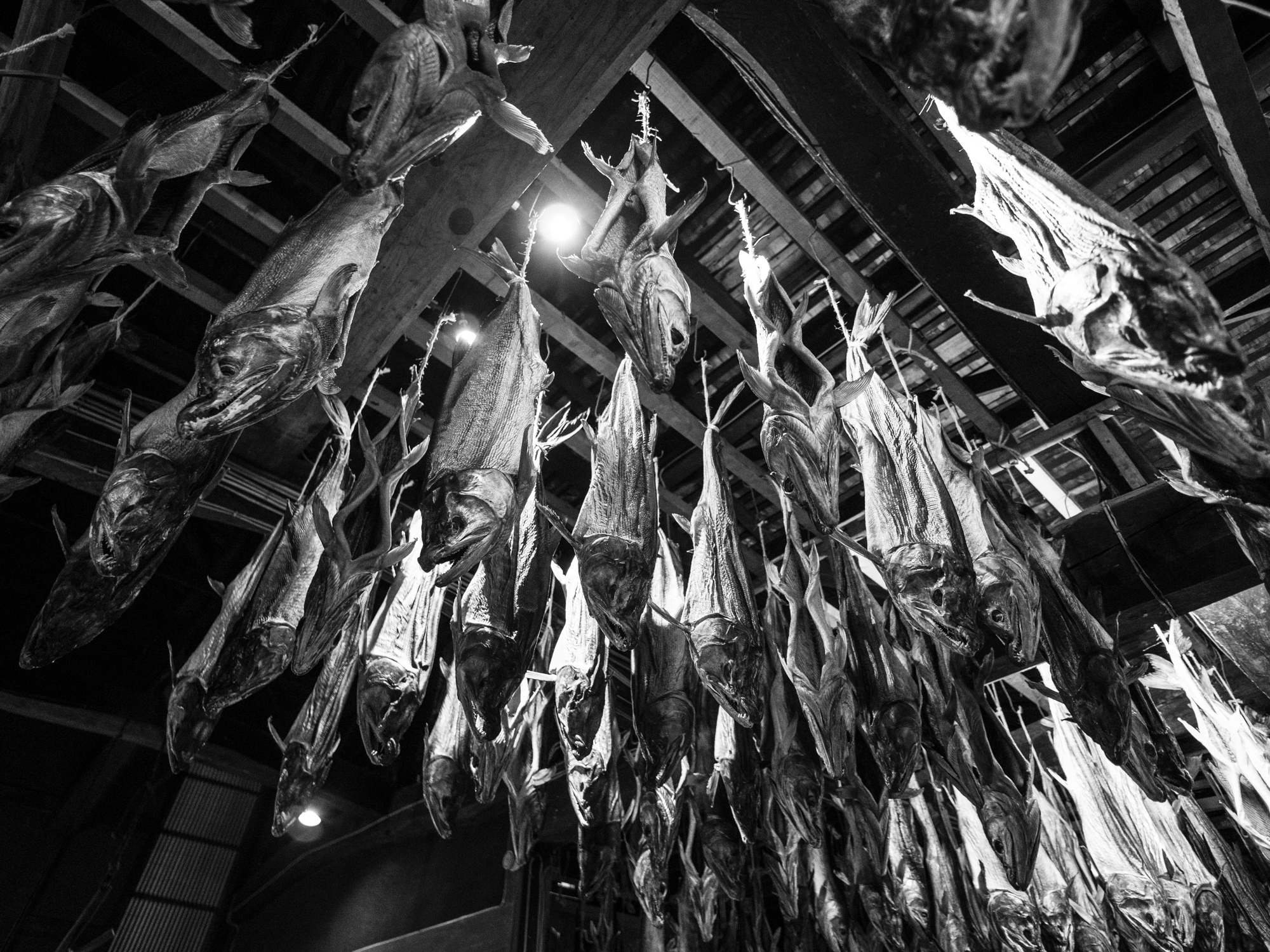 LUMIX G100 LEICA DG SUMMILUX 9mm / F1.7 ASPH. 絞り優先AE（F1.7・1/60秒・±0EV）ISO 1600