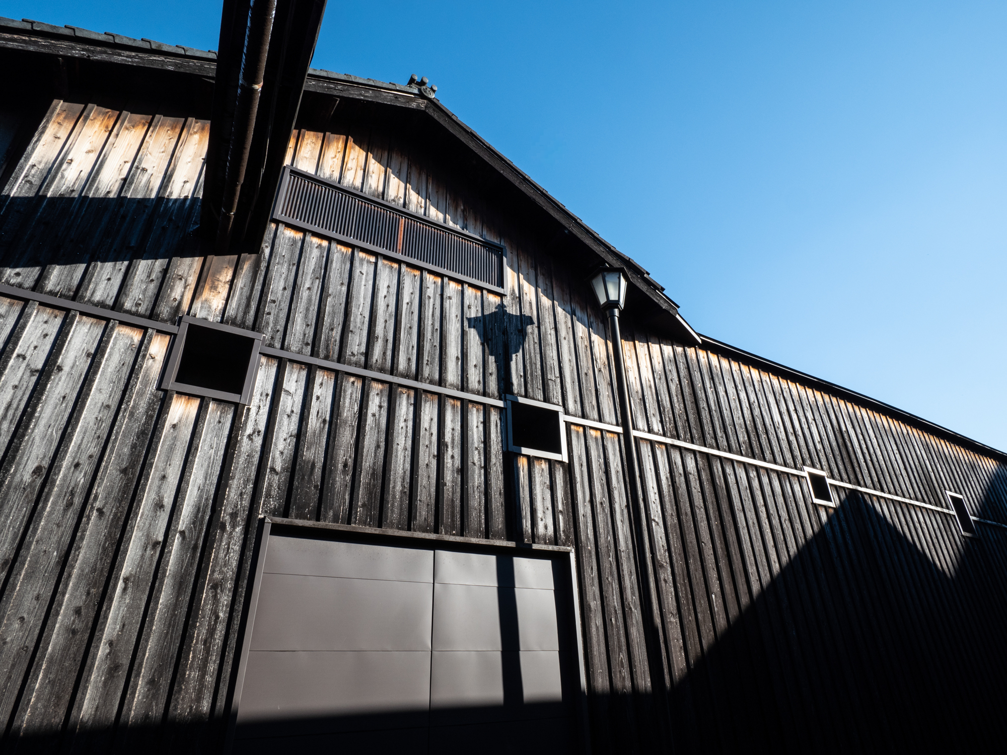 LUMIX G100 LEICA DG SUMMILUX 9mm / F1.7 ASPH. 絞り優先AE（F11・1/100秒・−0.7EV）ISO 200