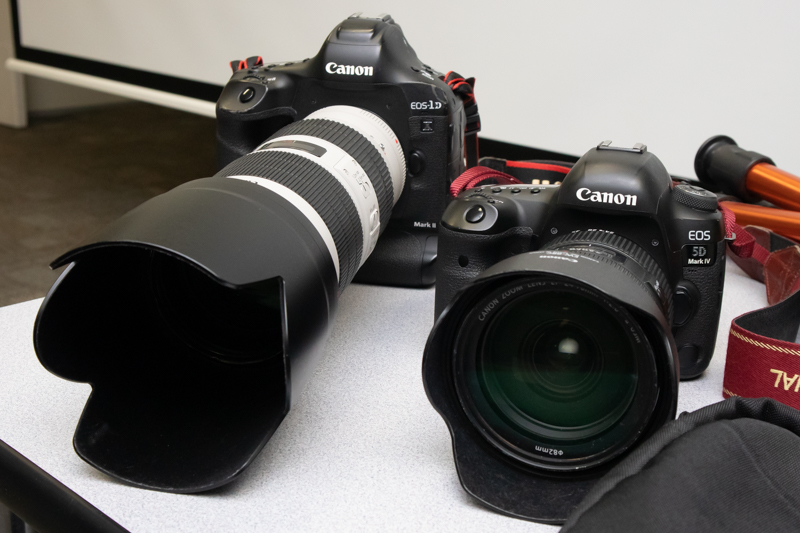 EOS-1D X Mark IIとEOS 5D Mark IV