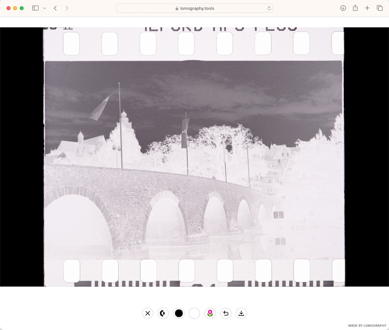 デジタルカメラで複写したモノクロネガの画像を読み込んだところ