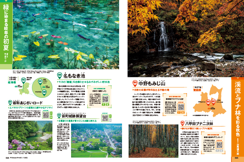 新緑まぶしい6月～7月は通称「モネの池」と白川郷合掌造り集落を見るルート。秋は秋田県のブナ林と不動の滝巡りを紹介する。