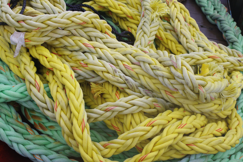 コントラストの鈍い条件下ですが、あえて、調整はしませんでした。明暗がないおかげで古いレンズのチカラというか、画面全体のディテール再現をテストすることができました。<br>PENTAX KF　smc PENTAX-FA J28-80mmF3.5-5.6AL（F8・1/125秒）ISO 400