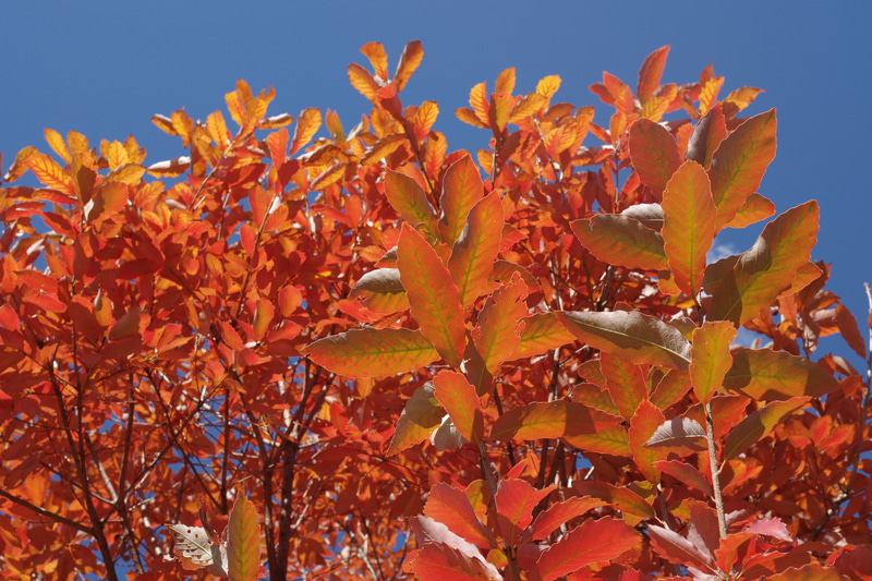 参考：通常撮影