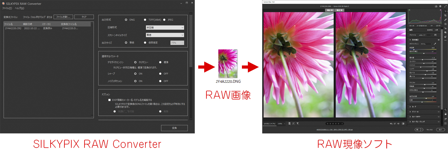 「SILKYPIX RAW Converter」はRAW現像ソフトへの橋渡し役。撮影した状態ではノイズや解像感が気になる写真を改善し、残りの処理をRAW現像ソフトに引き継ぐことができる