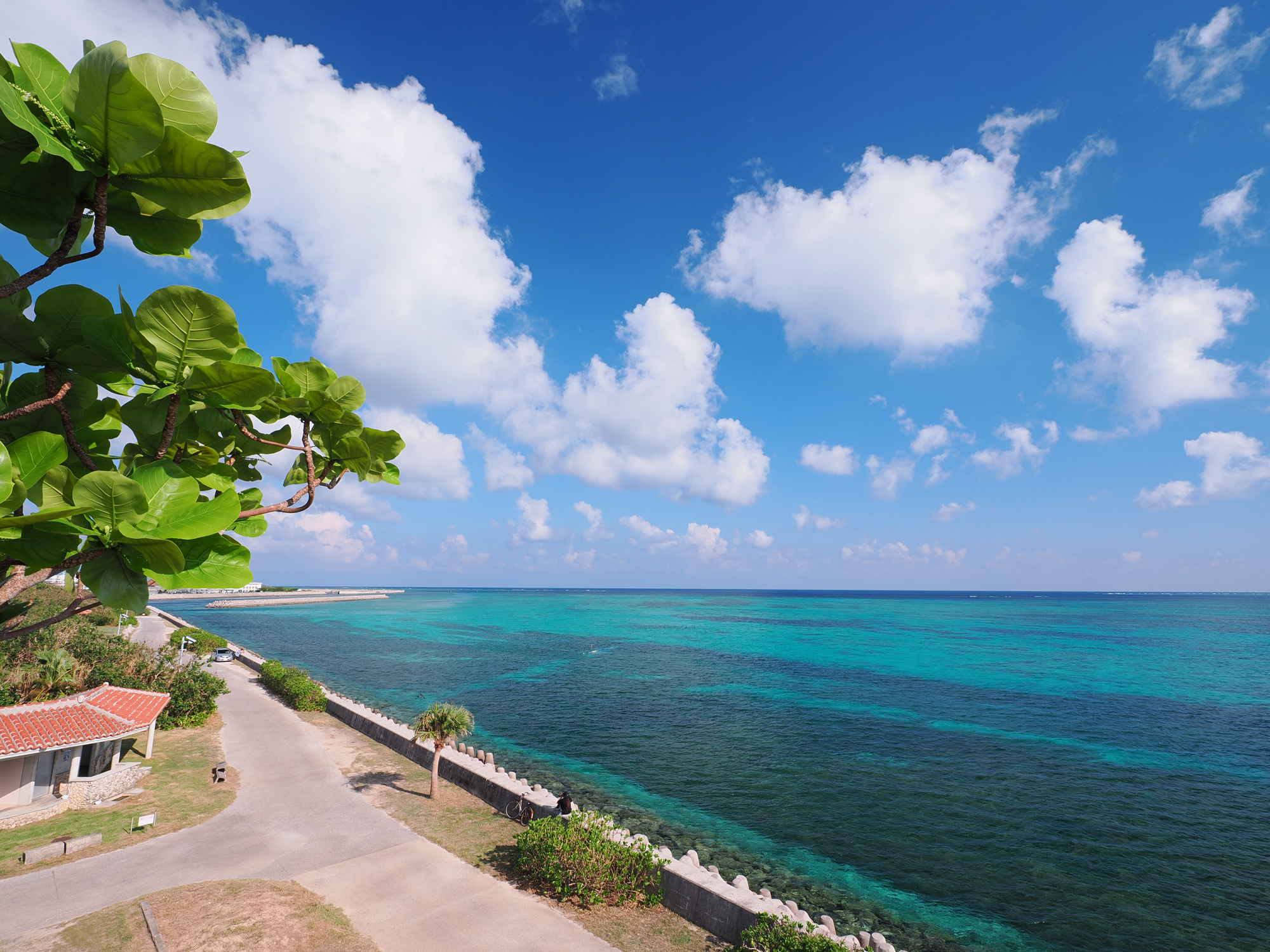 秋の沖縄県石垣島の海と空。海辺の公園にはのんびりと昼寝する猫たち。夏が過ぎてもまだまだ日差しが強く気温も30度超えの毎日でしたが、この数日後には突然風が変わり島は急速に秋の様相に<br>OM SYSTEM OM-1／M.ZUIKO DIGITAL ED 8-25mm F4.0 PRO／8mm／絞り優先（F8.0、1/160秒、＋0.7EV）／ISO 200／WB：オート