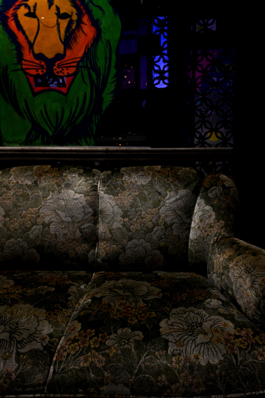 ニコン Z 9　NIKKOR Z 14-24mm f/2.8 S（F5.6・1/100秒）ISO  2000