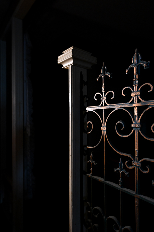 ニコン Z 9　NIKKOR Z 14-24mm f/2.8 S（F4.5・1/250秒）ISO 3200