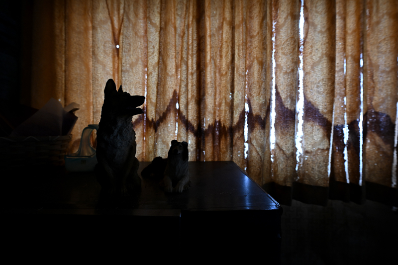 ニコン Z 9　NIKKOR Z 14-24mm f/2.8 S（F4・1/200秒）ISO 800