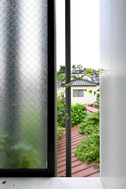 ニコン Z 9　NIKKOR Z 14-24mm f/2.8 S（F8・1/200秒）ISO 500