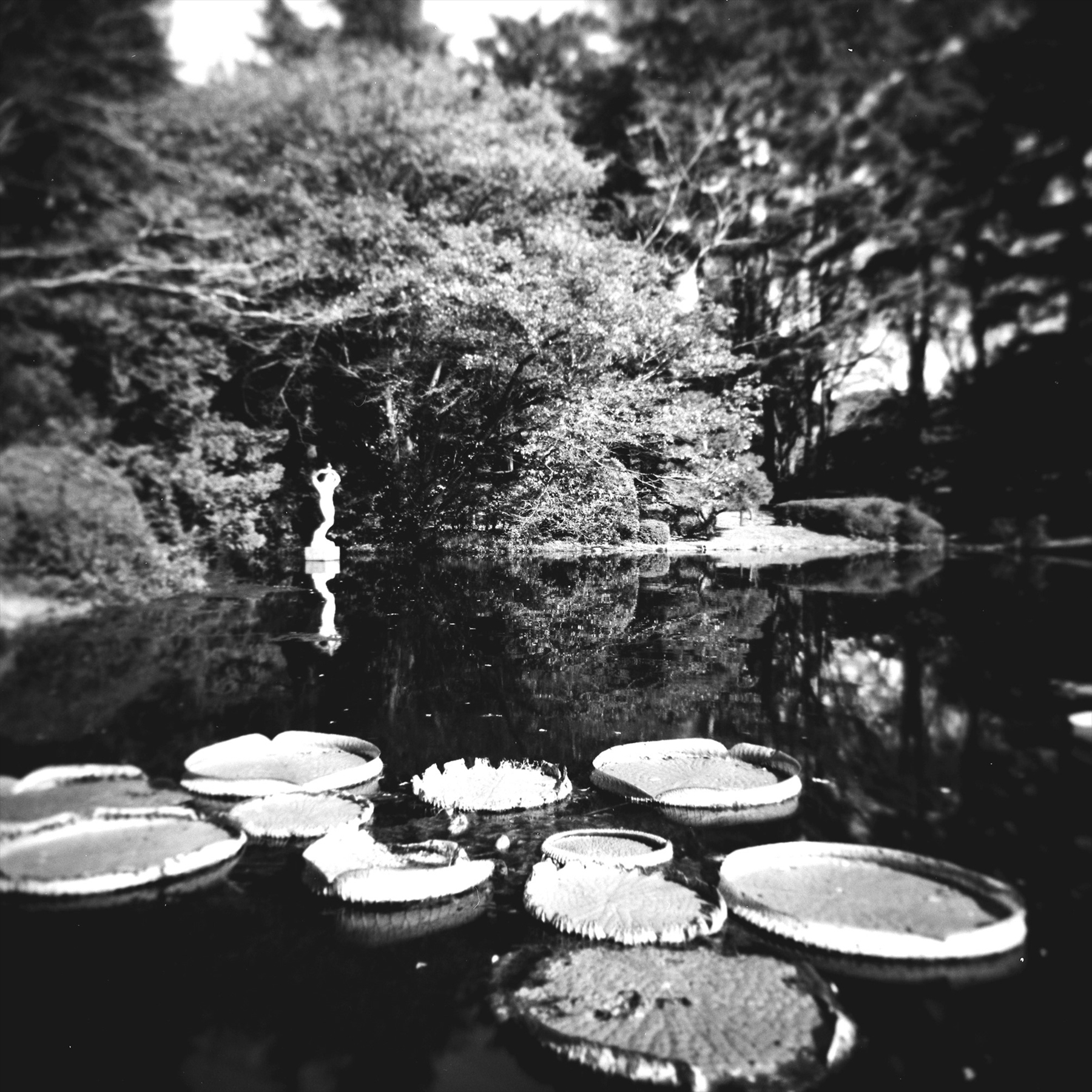 「まだ、旅の途中」で展示予定作品