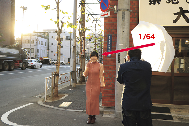 柔らかい光を当てて背景の光となじませたいのでトランスルーセントアンブレラを使用。太陽と反対側からスピードライトで光量を補う。撮りたい背景に露出を合わせてからスピードライトの光量を調整する