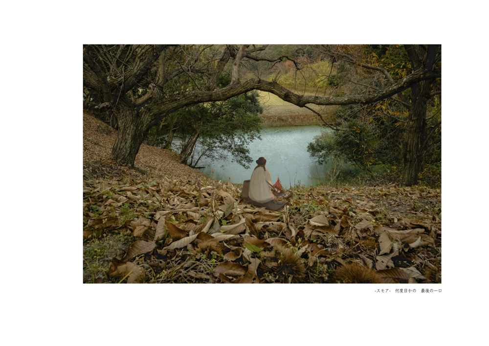 川本さんが「スモア」と名付ける作品群の1枚。絵が描き加えられた森の写真に、ひとことの思いを添えている