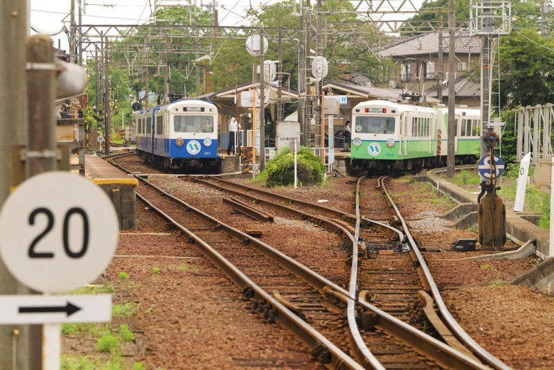 ライカSL2　APO-VARIO-ELMARIT-SL F2.8-4/90-280mm （132mm） 絞り優先オート （F5.6、1/200秒） ISO 400 WB:日陰