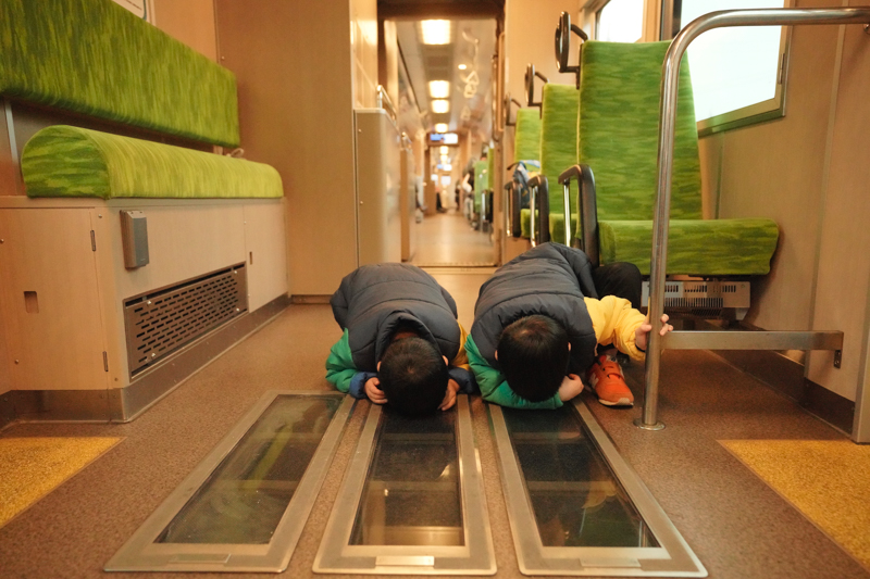 ソニーα7R IV　FE 16-35mm F2.8 GM （24mm） 絞り優先オート （F2.8、1/1,600秒） ISO 12800 WB:日陰