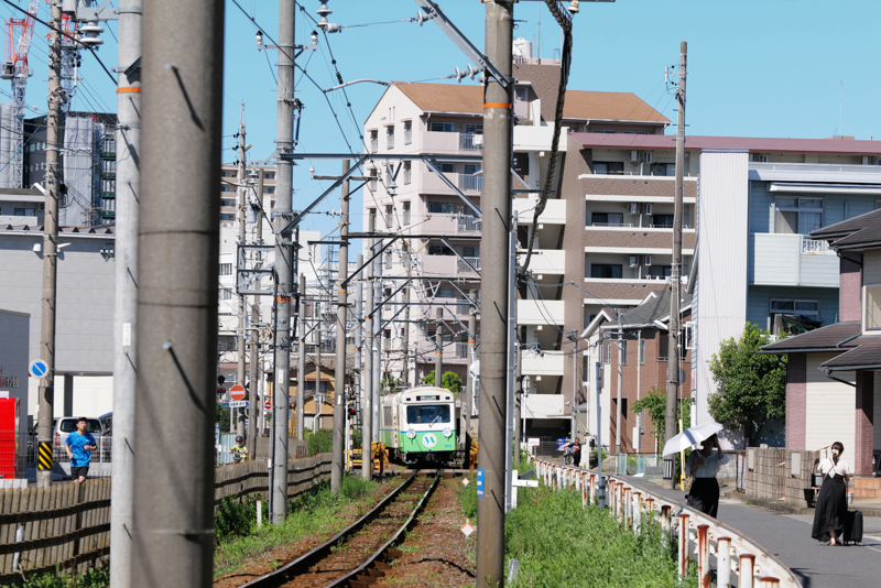 ライカSL2　APO-VARIO-ELMARIT-SL F2.8-4/90-280mm （118mm） マニュアル露出 （F8、1/1600秒） ISO 800 WB:太陽光