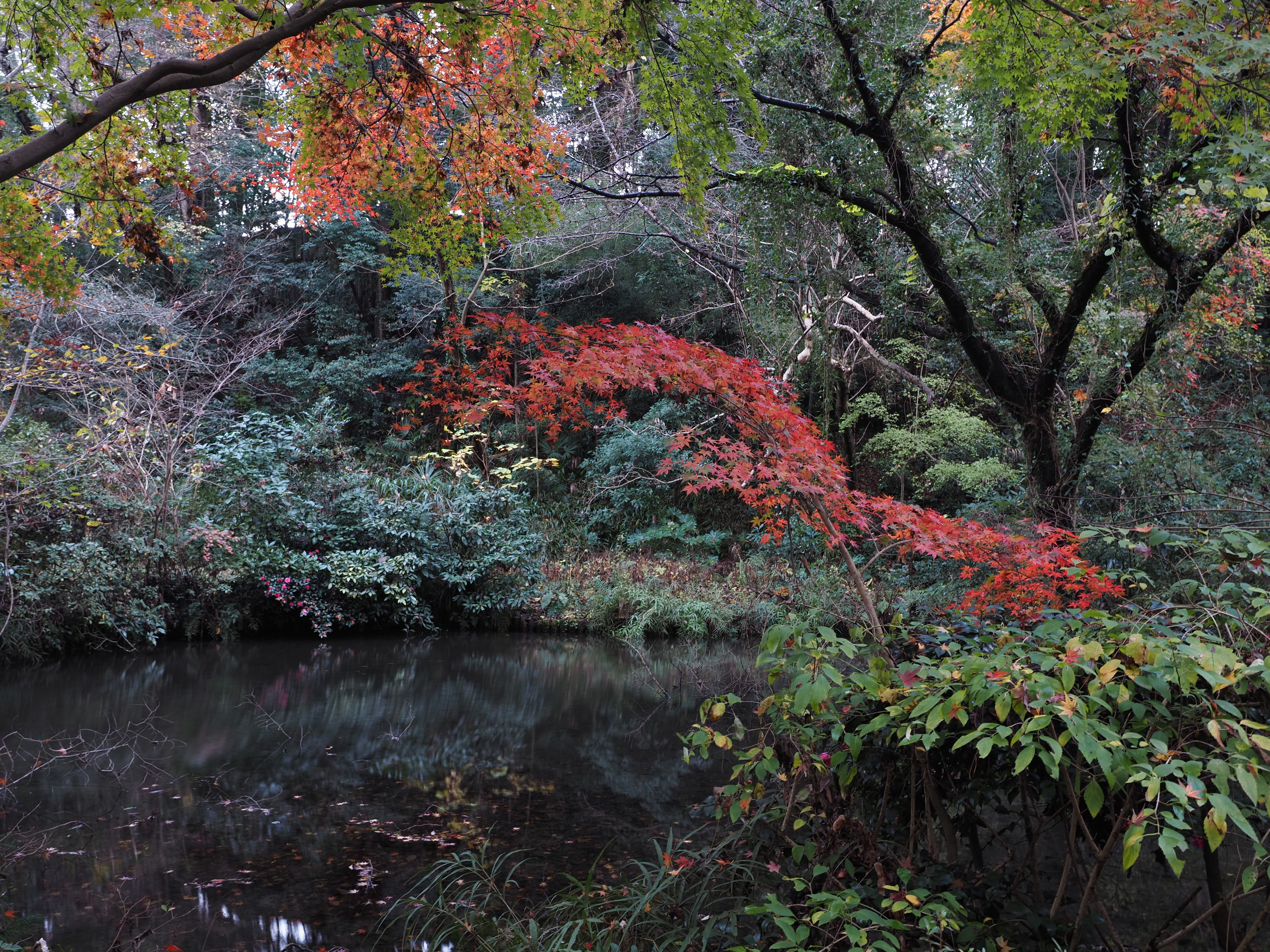 OM SYSTEM OM-5　M.ZUIKO DIGITAL ED 12-40mm F2.8 PRO II（F5.6・1.6秒・15mm）ISO 200