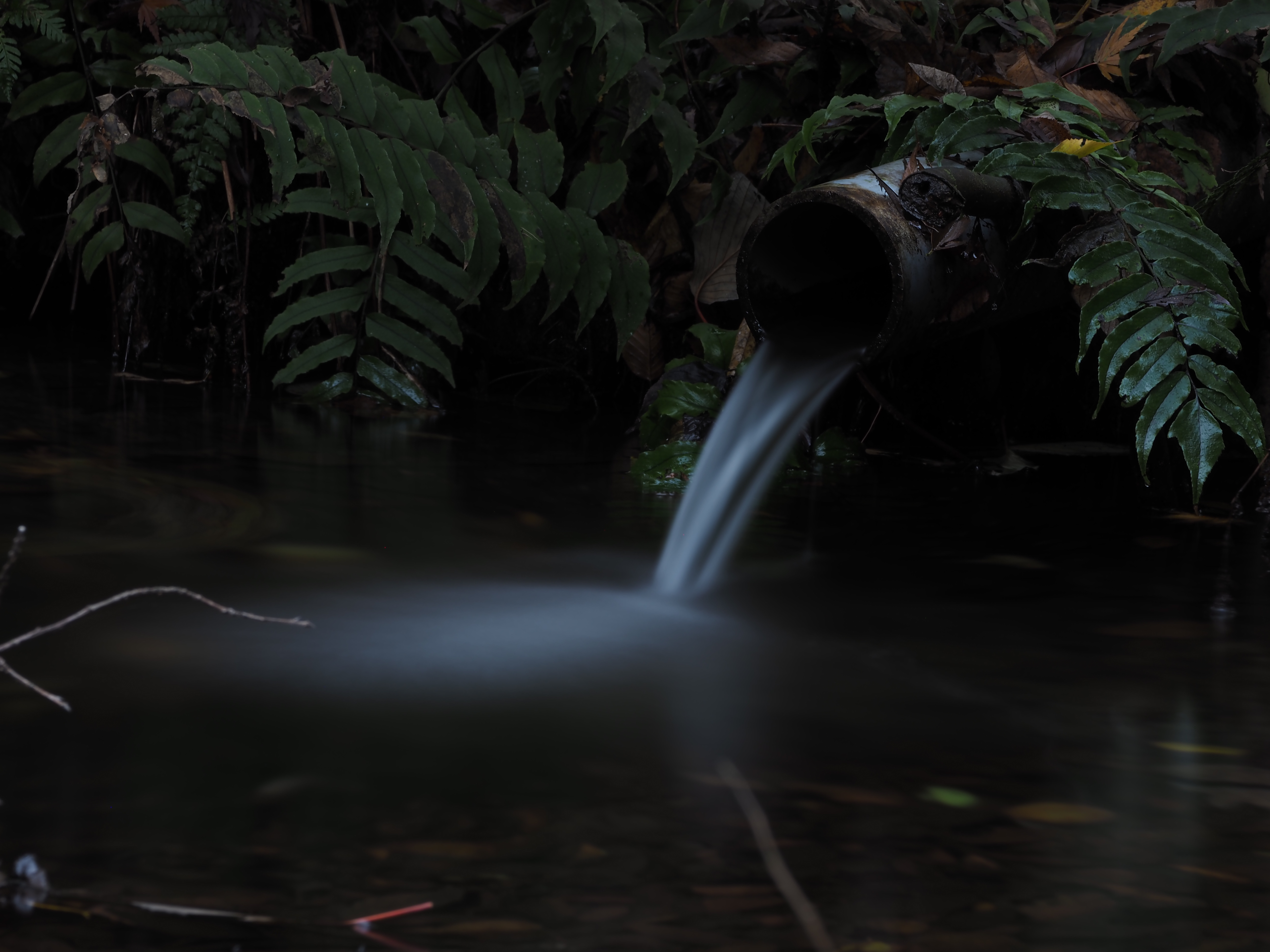 OM SYSTEM OM-5　M.ZUIKO DIGITAL ED 100-400mm F5.0-6.3 IS（F11・60秒・276mm）ISO 200