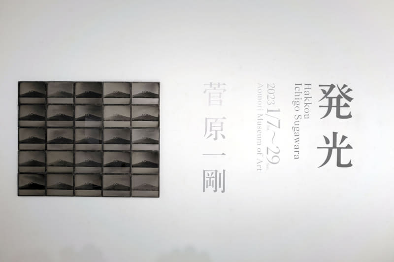 縦5列、横5列の計25枚の岩木山の湿板写真から展示はスタートする