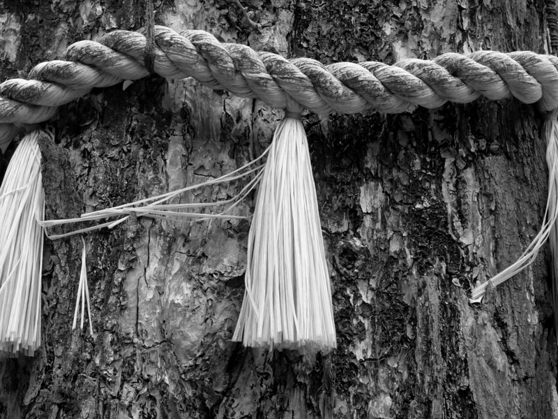 X20のフィルムシュミレーションにはまだ「ACROS」が入っておりませんでした。通常のモノクロモードで撮影しとりますが、十分な結果であります。<br>FUJIFILM X20（F3.2・1/200秒）ISO 800　19.5mm