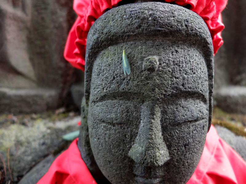 今回も、年寄りが好きな石仏を撮りました。背景のボケには少しクセがあります。冬だというのに、おでこに筆者が弱含みのムシがついていました。でも頑張って撮影しました。怖いので追い払えませんでした。<br>FUJIFILM X20（F2・1/600秒）ISO 400　7.1mm