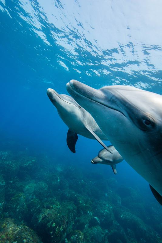 Vol.2 杉村友弘「友」（c）Tomohiro Sugimura