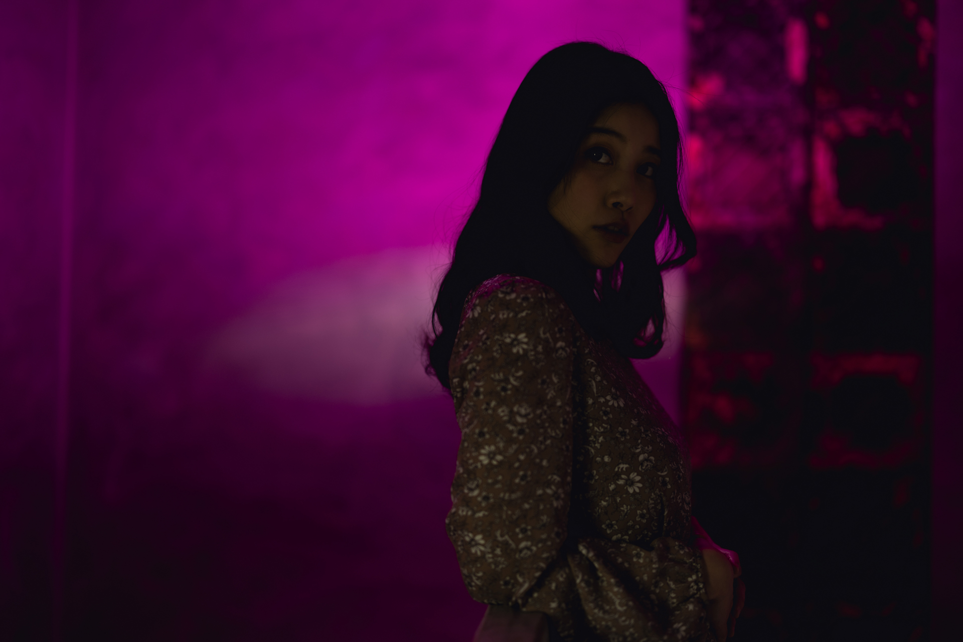 背後のライトのみ