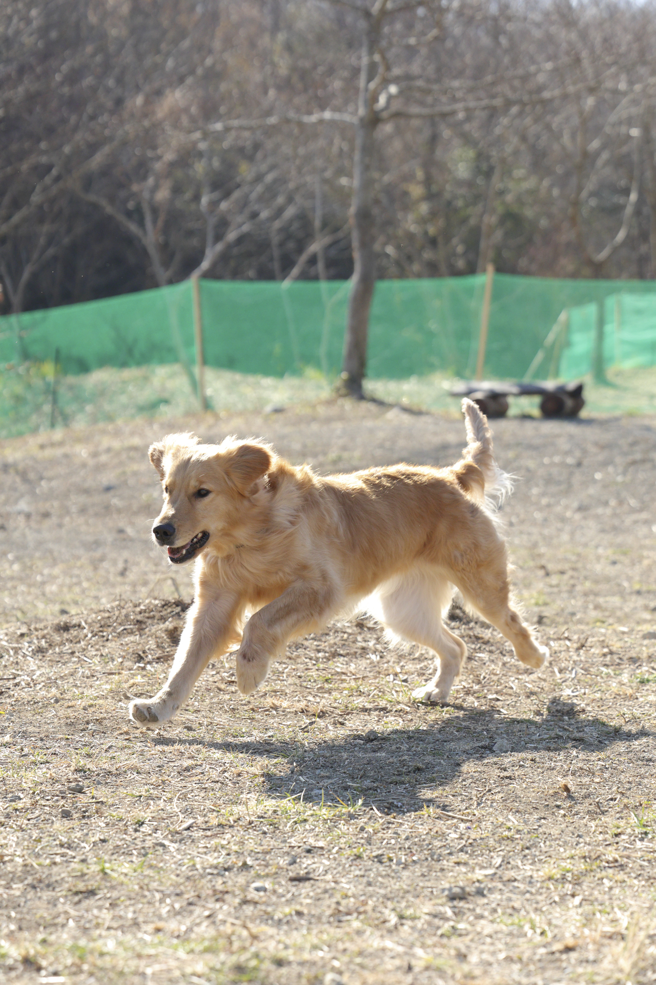 EOS R6 Mark II／RF70-200mm F2.8 L IS USM／100mm／マニュアル露出（1/8,000秒・F5.0）／ISO 2000